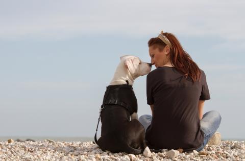 A Friendship Like No Other: 10 Benefits of Pet Ownership